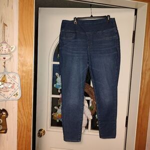 New Sonoma Jeggings Size Women's 16 Regular